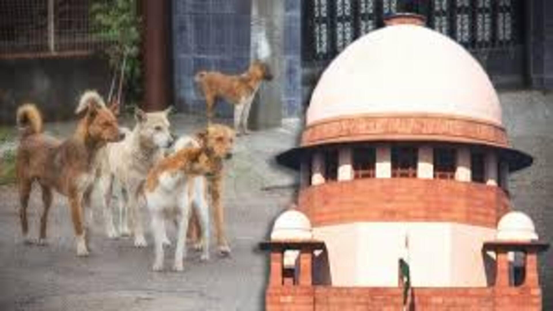 कुत्ते के काटने पर राज्य सरकारें देंगी मुआवजा, सुप्रीम कोर्ट का सख्त रुख